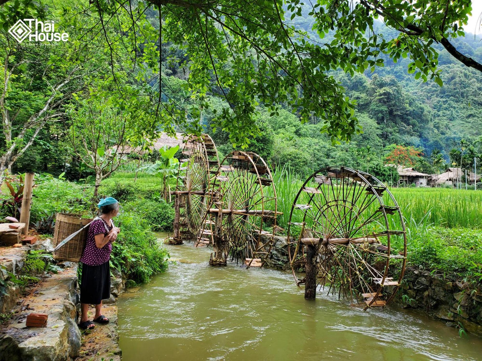 Thai House Pu Luong - Century Old Stilt House With Terrace Views Huong Ba Thuoc Dış mekan fotoğraf